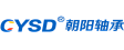 Shandong Chaoyang Bearing Co., Ltd (CYSD)